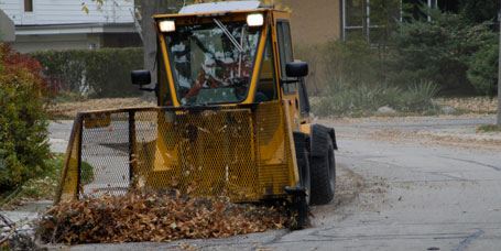 fall leaf collection operations