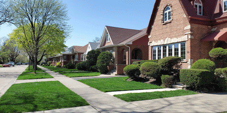 Homes on a residential street